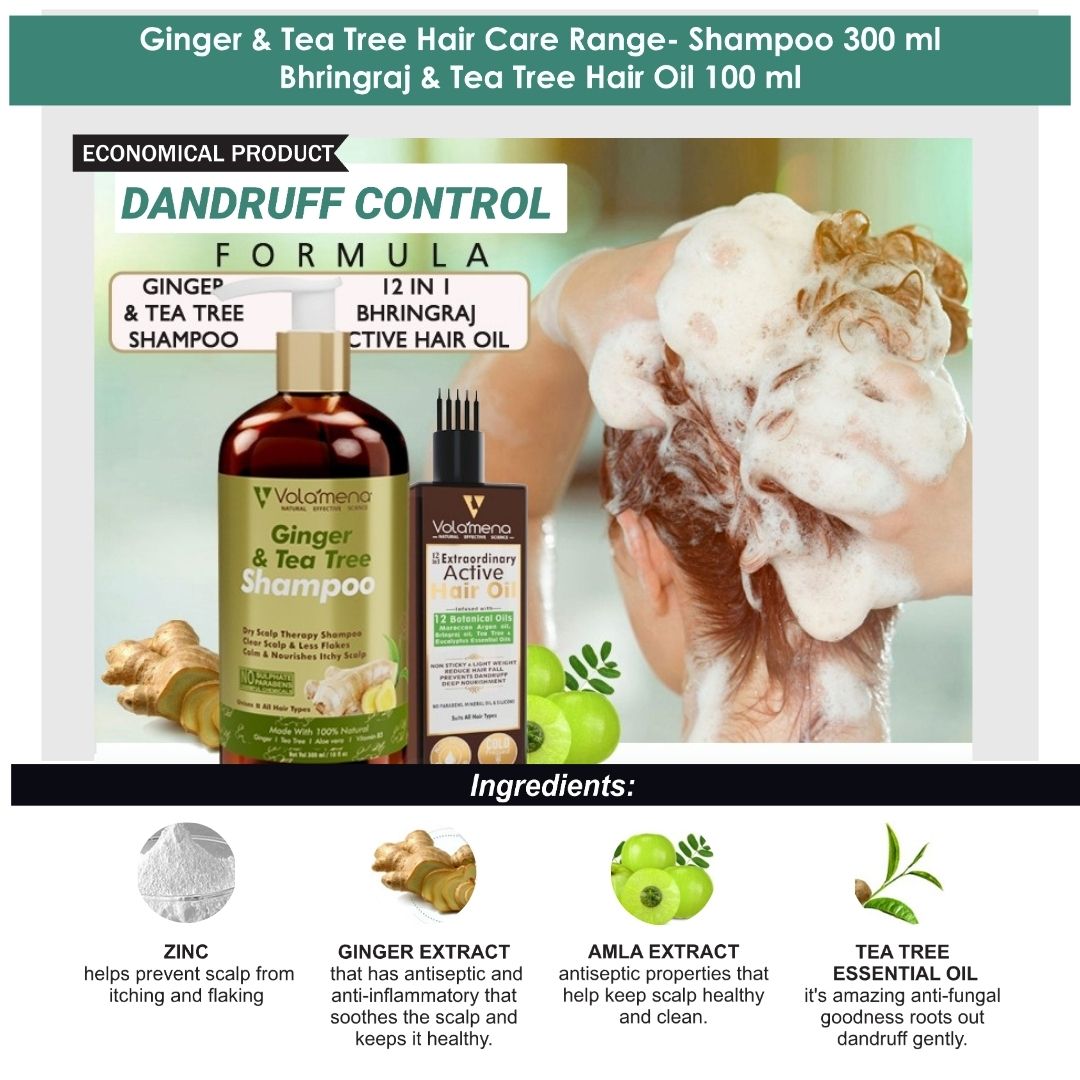 Volamena Ginger & Tea Tree Hair Shampoo For Dandruff Sulphate Free Parabens free 300 ml - Volamena