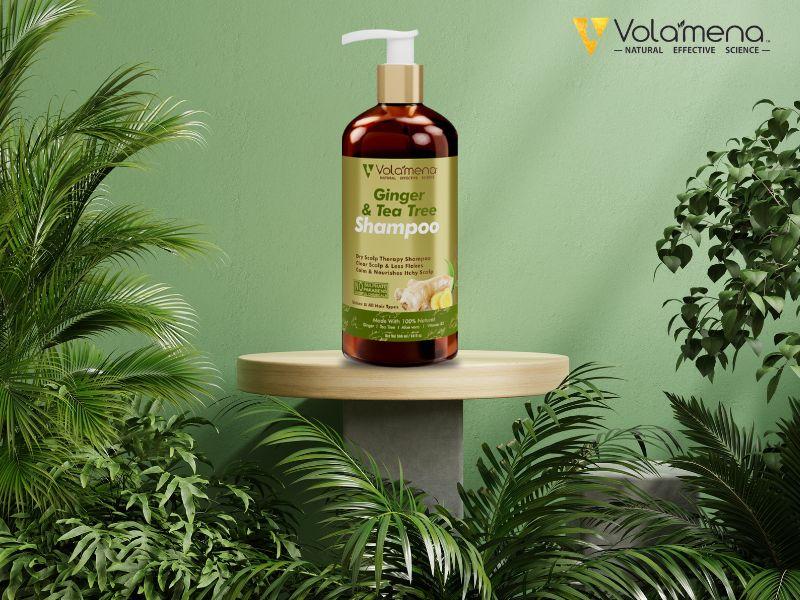 Ginger & Tea Tree Shampoo 300 ml