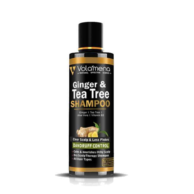 Volamena Ginger & Tea Tree Shampoo With Ginger, Tea Tree & Aloe Vera For Dandruff Control